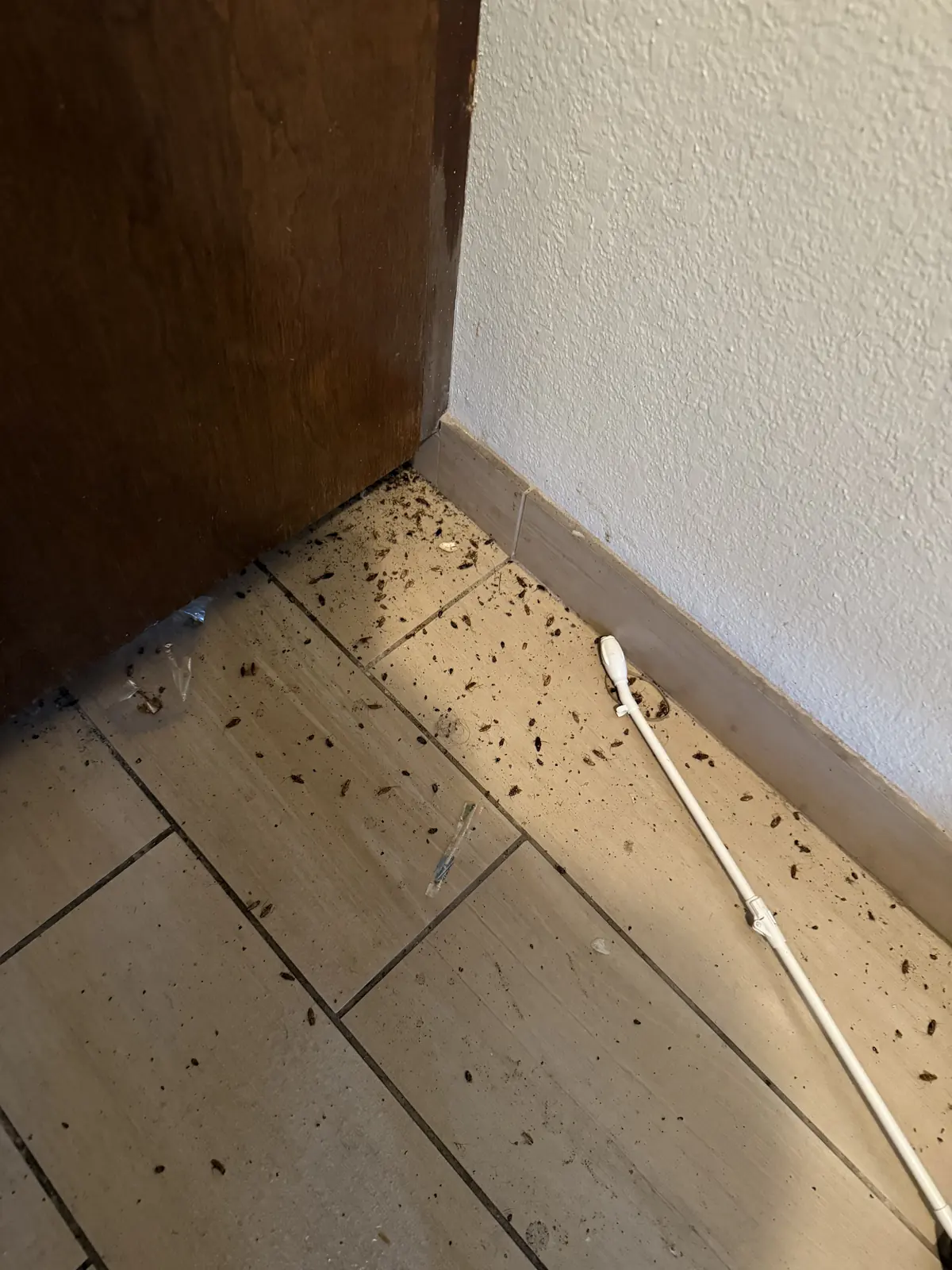 Cockroaches and debris along a tiled kitchen floor next to a cabinet and mop handle